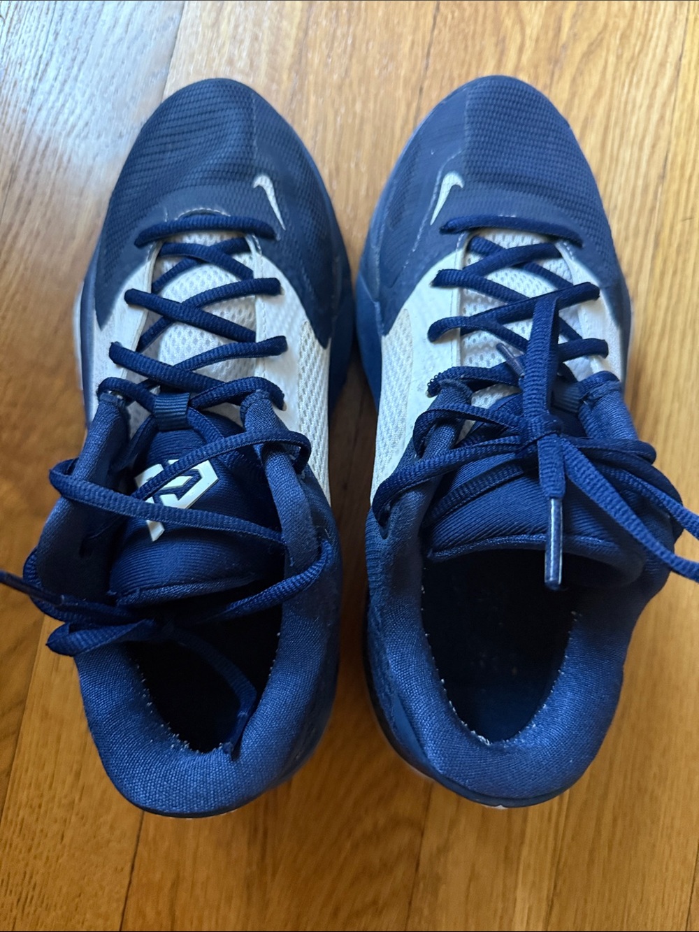 Nike Navy and White Low-Top Shoes